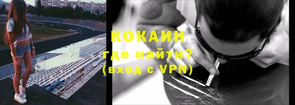 соль ск Лиски