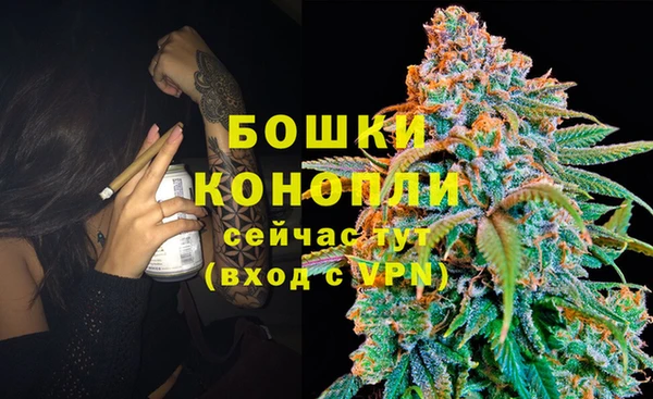 соль ск Лиски