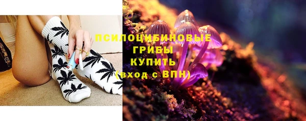 соль ск Лиски