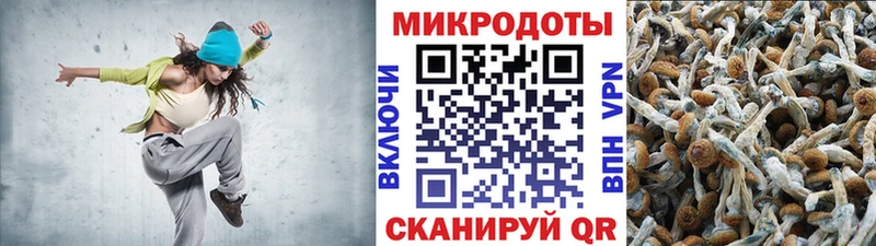 KRAKEN онион  Новопавловск  Галлюциногенные грибы Cubensis 